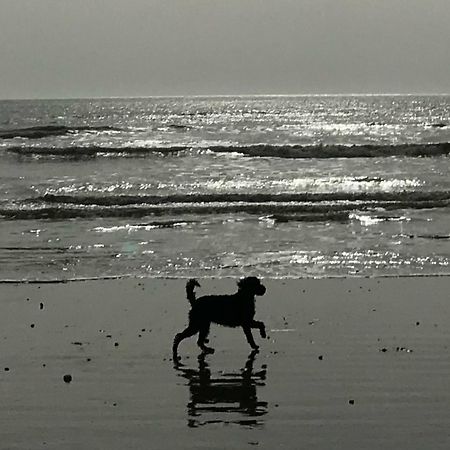 Elegant York House - On A Beach Road, Sleeps 12, With Sea Views Worthing Luaran gambar